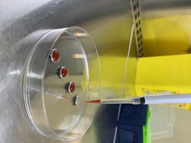 QBI Indicator 2