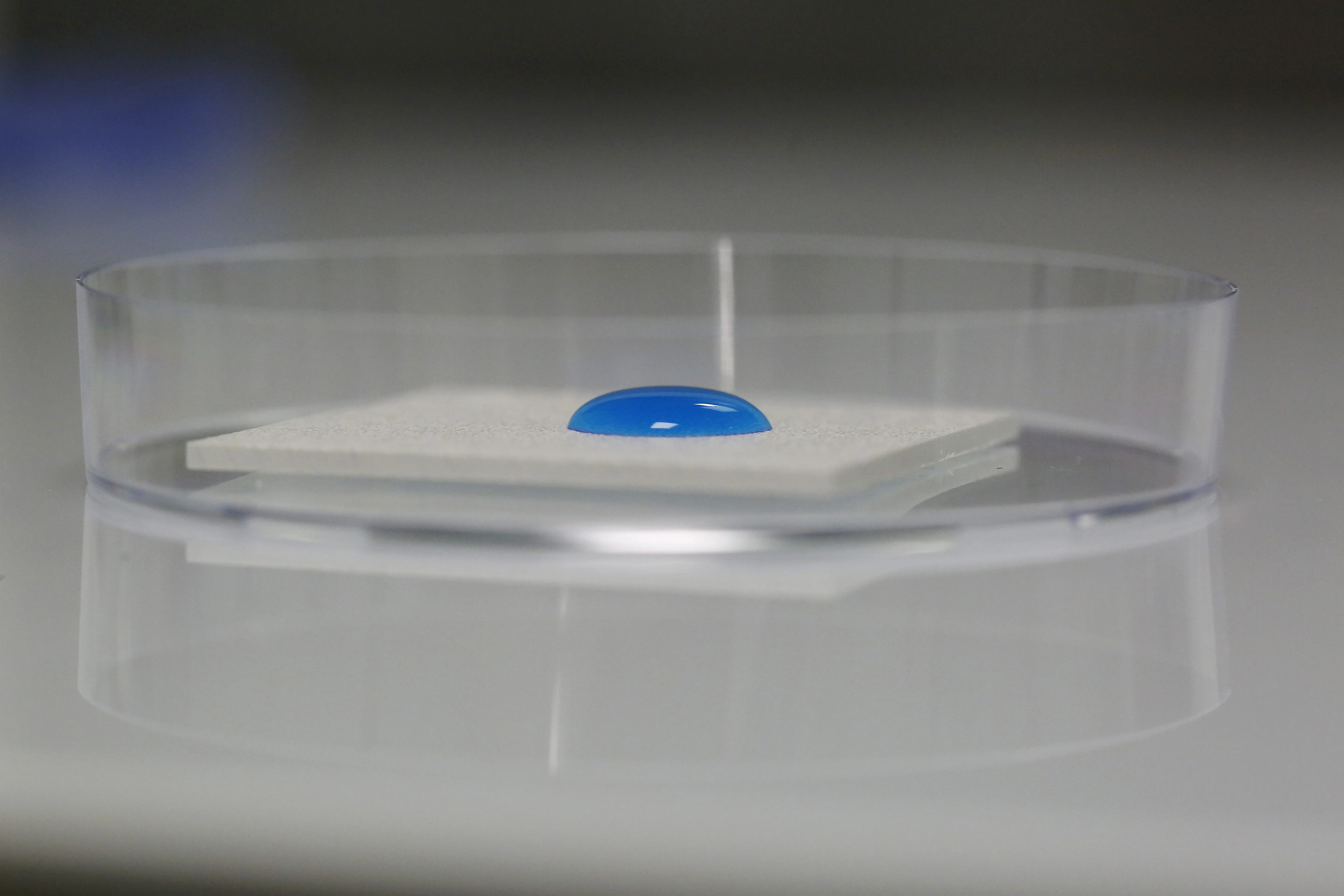 Tests de laboratoire